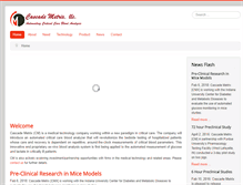 Tablet Screenshot of cascademetrix.com